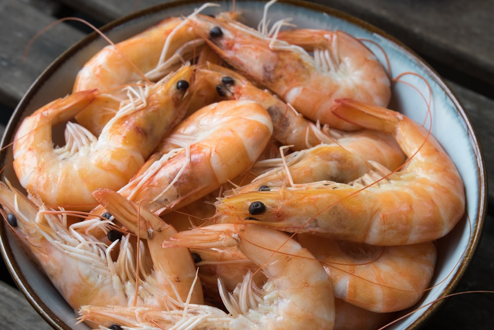 Taça de gambas frescas da costa