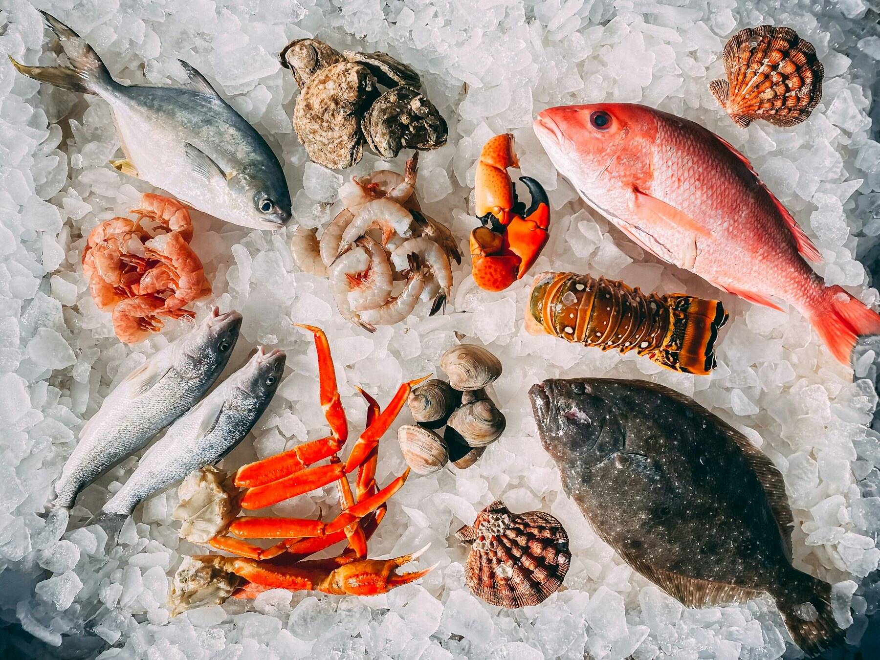 Mariscada fresca sobre gelo — peixe, sapateira, lavagante e ostras